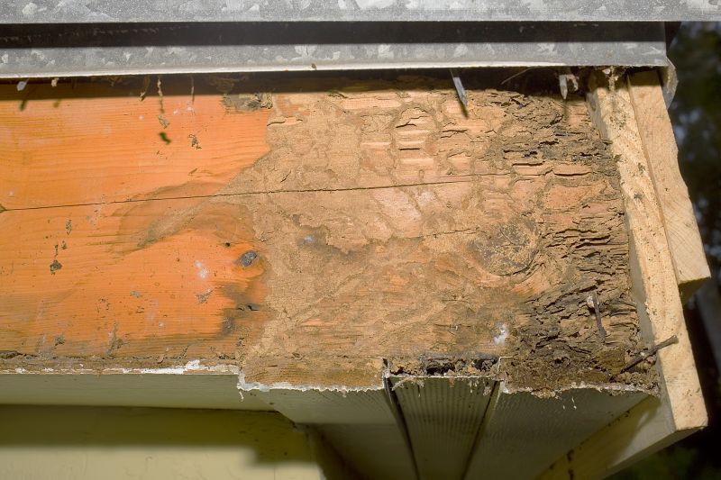 Contact About Rotten Beam Repair