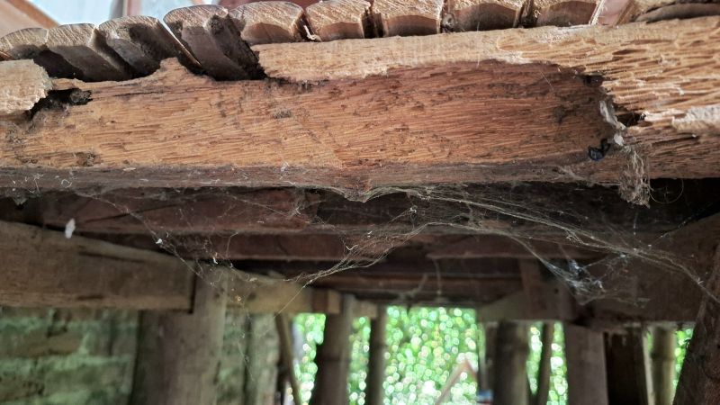 Rotten Beam Repair