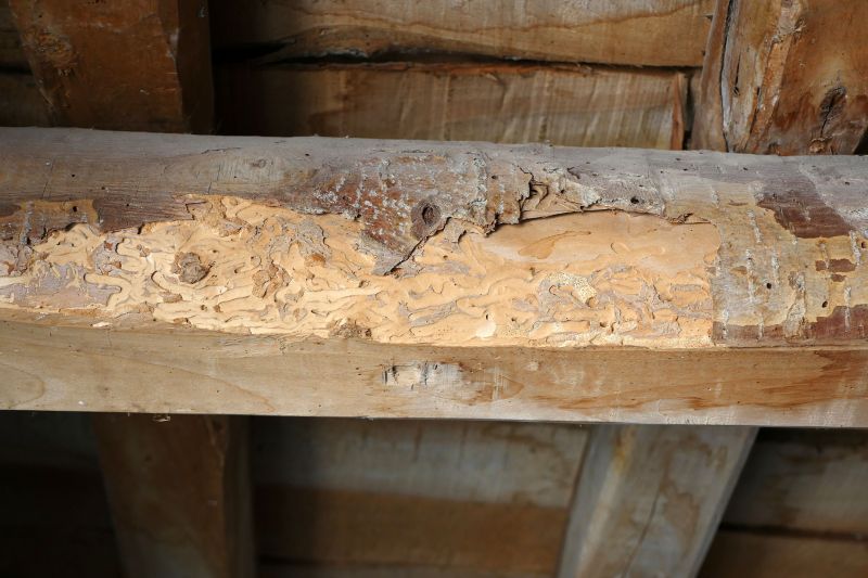 Damaged Wooden Beam